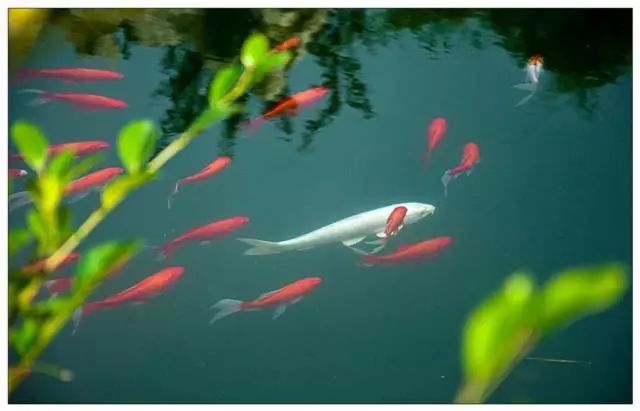 金利源,金利源凈水器,凈水器品牌,家用凈水器品牌,凈水器十大品牌,凈水器代理,凈水器加盟,凈水器廠家,凈水機,家用凈水器