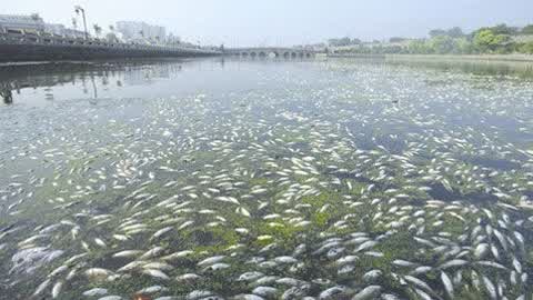 金利源，金利源凈水器，凈水器品牌，家用凈水器品牌，凈水器十大品牌，凈水器代理，凈水器加盟，凈水器廠家，凈水機，家用凈水器