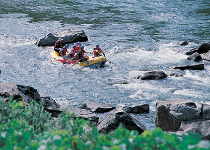 家用凈水器銷售火爆，高端凈水器品牌金利源備受青睞